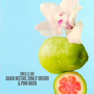 Cheirosa 48 Perfume Mist Sol De Janeiro