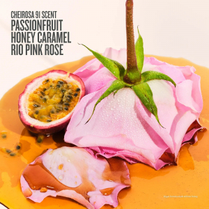 Rosa Charmosa Duo | Online Exclusive Sol De Janeiro